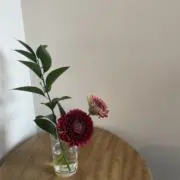 YUKIの画像