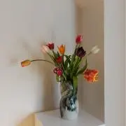 ay