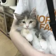 ゆー