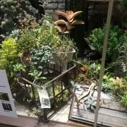 NH☆プロフをお読みくださいの画像
