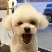 つまみ