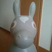 ロディちゃんの画像