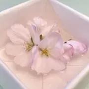 Reina(断捨離中)