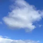ぶどうの画像