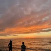 カメレオン114の画像
