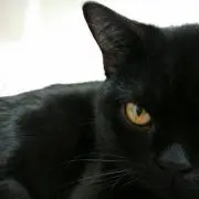 さち
