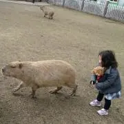 ☆ぐるり☆