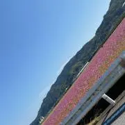 たその画像