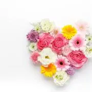 maai*•.❥姉妹mama❥