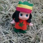 ピッピチャムの画像