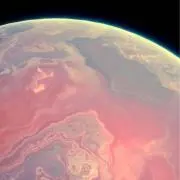 うなの画像