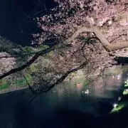夕凪