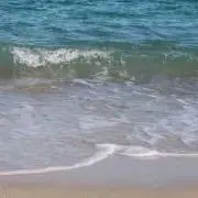 Yuriの画像