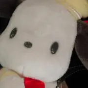 柿の画像