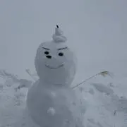 あるひの画像