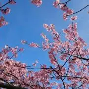 Miiママ  プロフ必読の画像