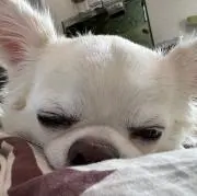 SHUNの画像