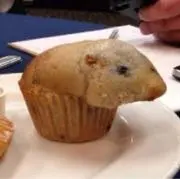 えのきの画像