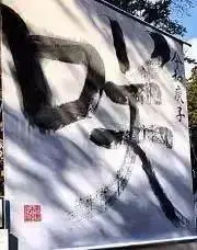 めぐミルクの画像