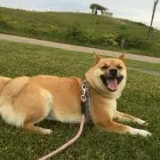 MYs セール中の画像