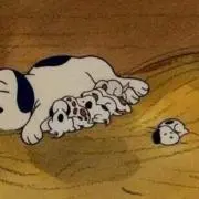 きのぴこの画像
