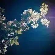 みぃの画像