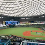 さわの画像