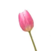 あめりぃ