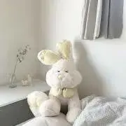 ぽちゃこの画像