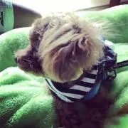 Smileの画像