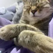 まこの画像