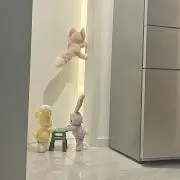 イブたん