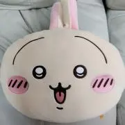 うさの画像