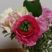 とまこの画像