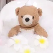 【まとめ買い歓迎】わさがなの画像