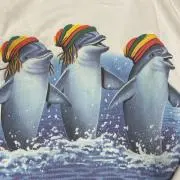 じぇいの画像