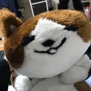 ナイターの画像