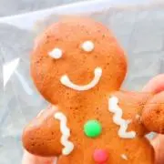 ハルの画像