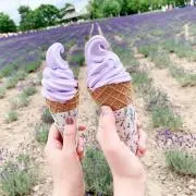 まるの画像