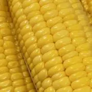 とうもろこし