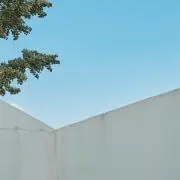 ぱびの画像