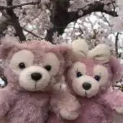 nana3355の画像