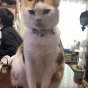 みい