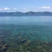 Manoの画像