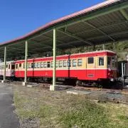 カラーズ【お値下げ不可】の画像