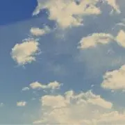 tximakoの画像