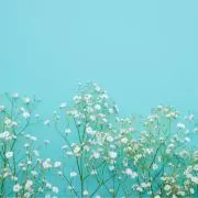 haruの画像