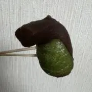 だいさん