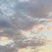 この画像