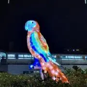 Mの画像